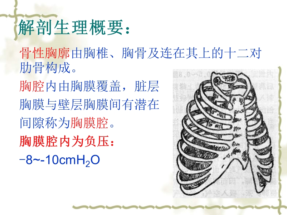 胸外科疾病患者的护理.ppt_第3页