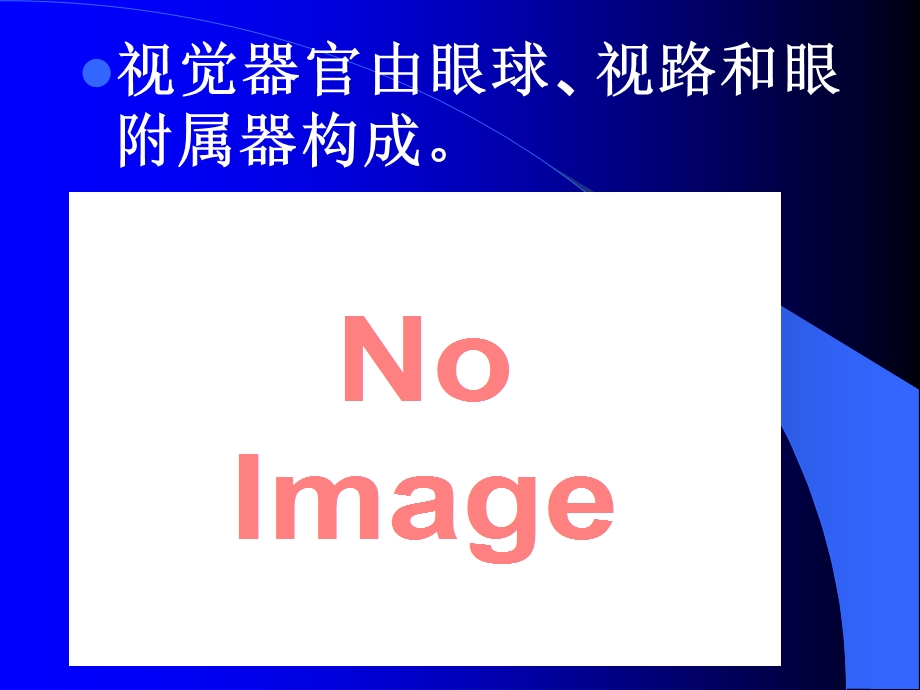 眼的组织解剖与.ppt_第3页