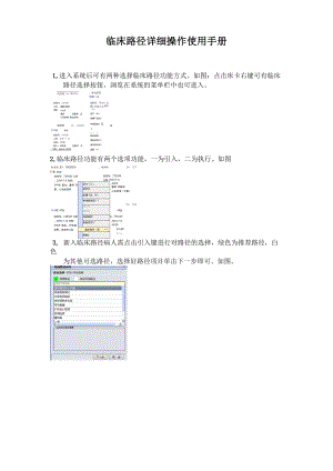 临床路径系统操作使用手册.docx