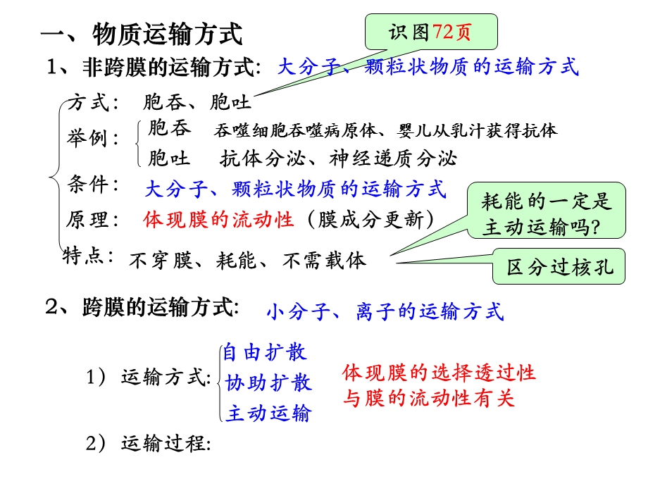 物质输入输出复习课件.ppt_第2页