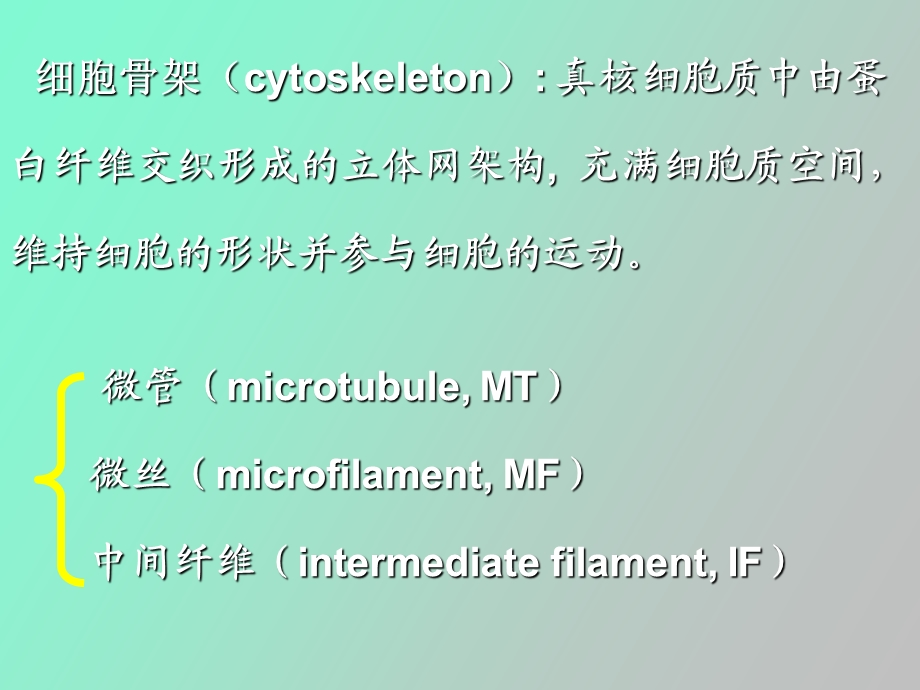 细胞生物学细胞骨架与细胞运动.ppt_第2页