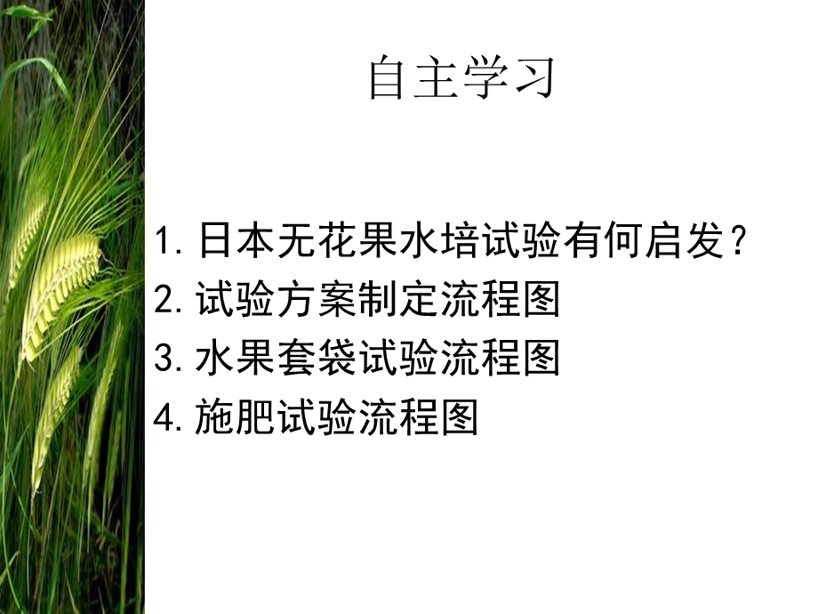 大樱桃栽培技术.ppt_第3页