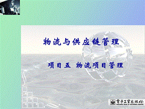 物流项目管理.ppt