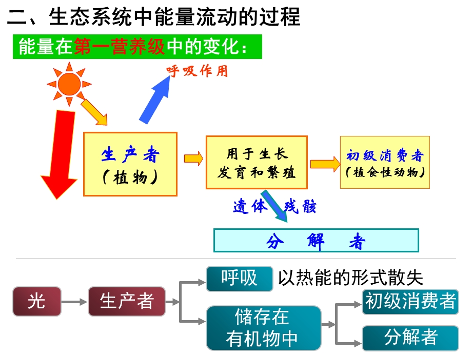 生态系统的三大功能.ppt_第3页