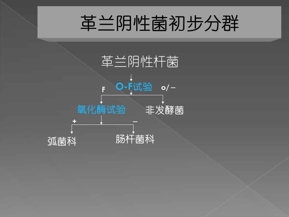 综合实训4革兰阴性需氧和兼性需氧杆菌.ppt_第3页