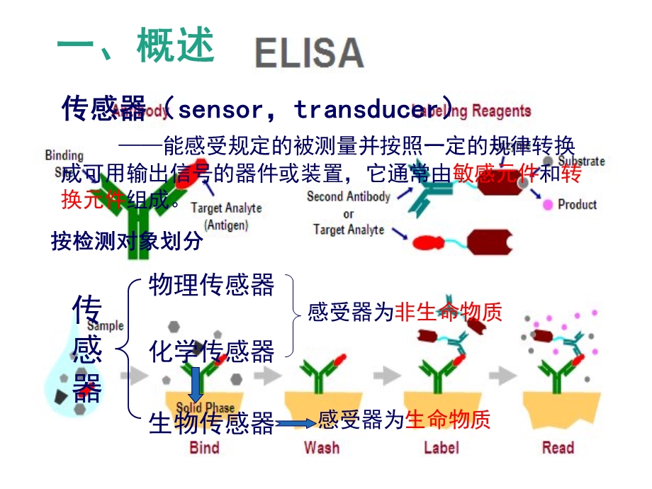 生物传感器概述及应用.ppt_第2页