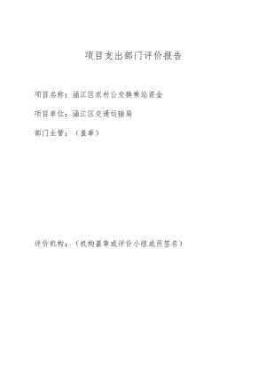 项目支出部门评价报告.docx