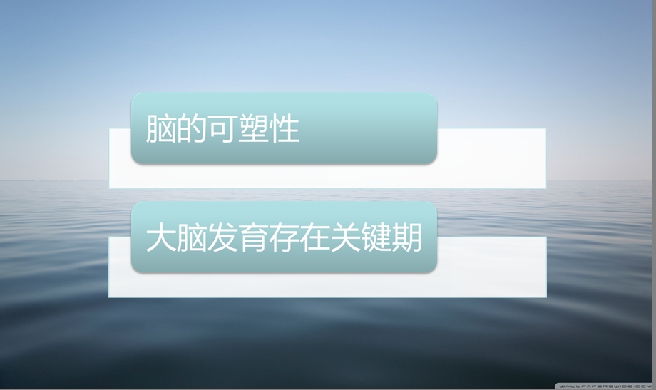 脑发育的关键期和脑的可塑性.ppt_第2页