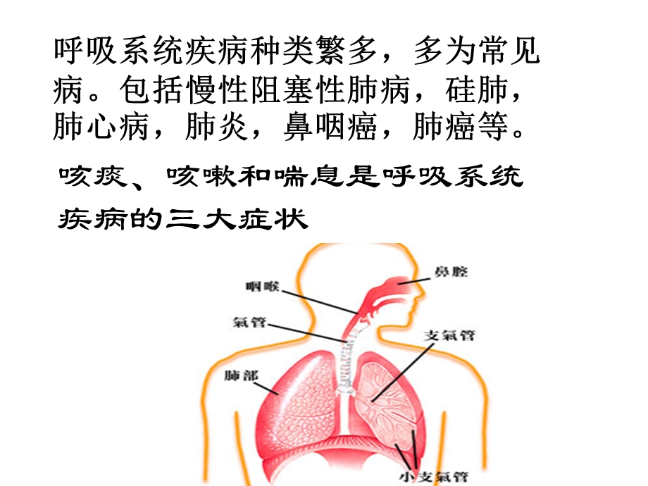 药理学第2版31呼吸药物.ppt_第3页