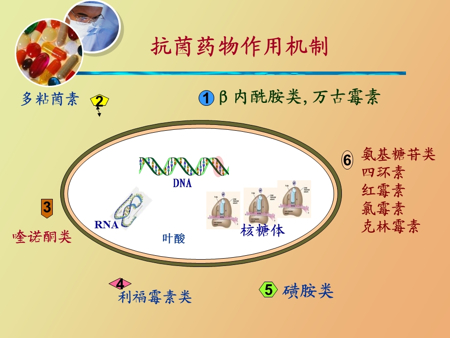 细菌耐药与抗菌药物的合理应用.ppt_第3页