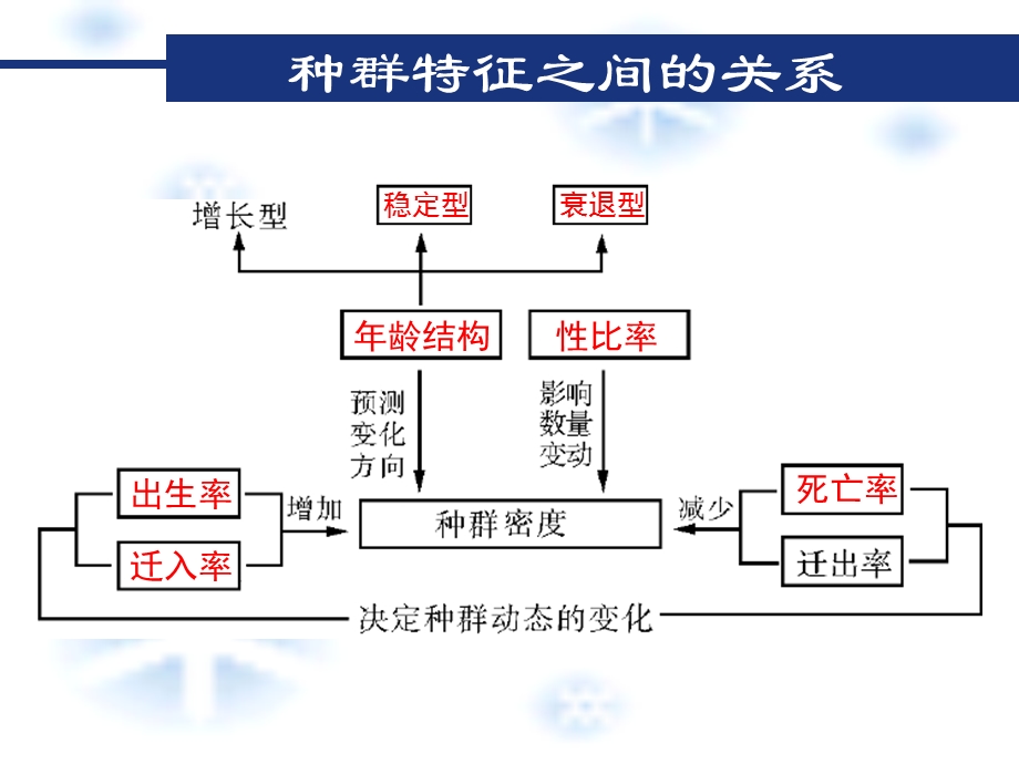 种群的特征和增长方式.ppt_第3页