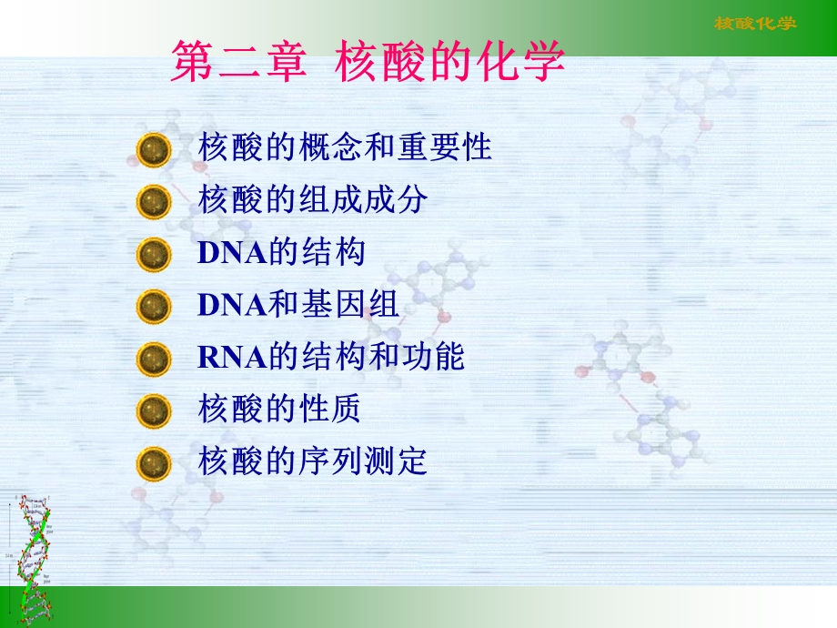 生物化学第二章核酸化学.ppt_第2页