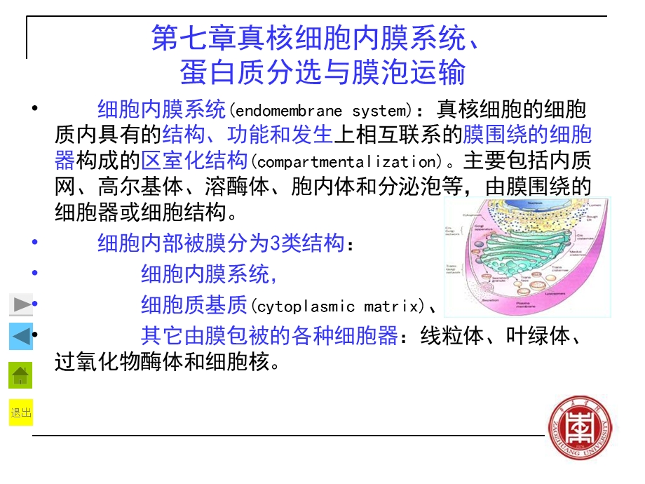 真核细胞内膜系统、蛋白质分选与膜泡运输-复.ppt_第2页