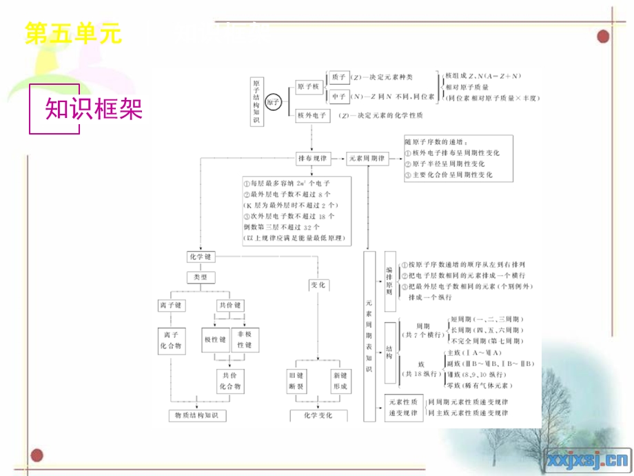 物质结构元素周期律知识框架.ppt_第2页