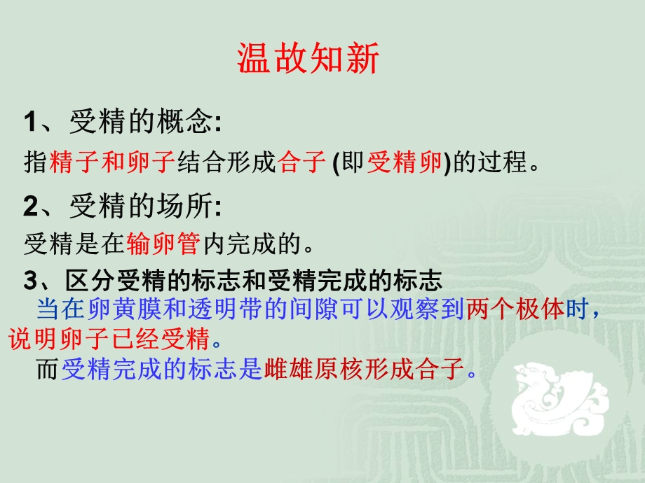 胚胎发育过程(精品PPT).ppt_第1页