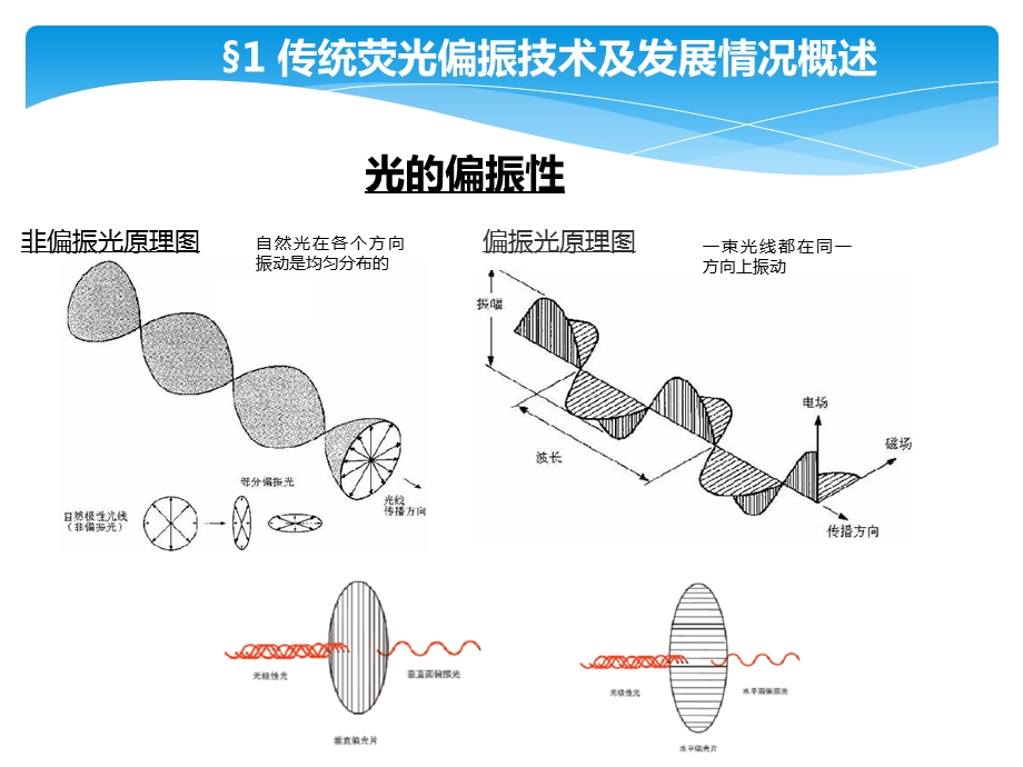 荧光偏振技术原理.ppt_第3页