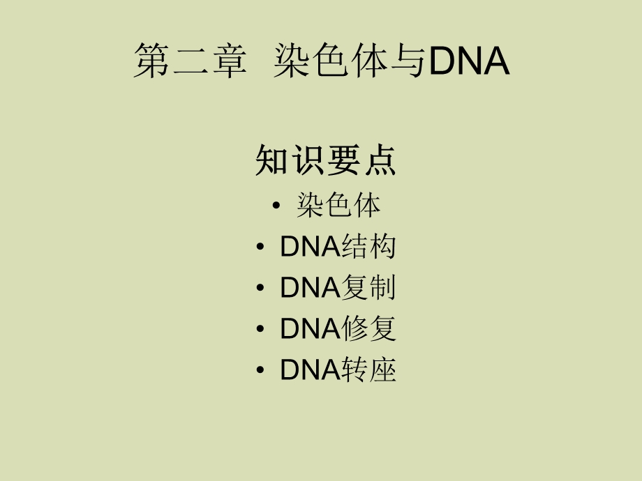 现代分子生物学.ppt_第3页