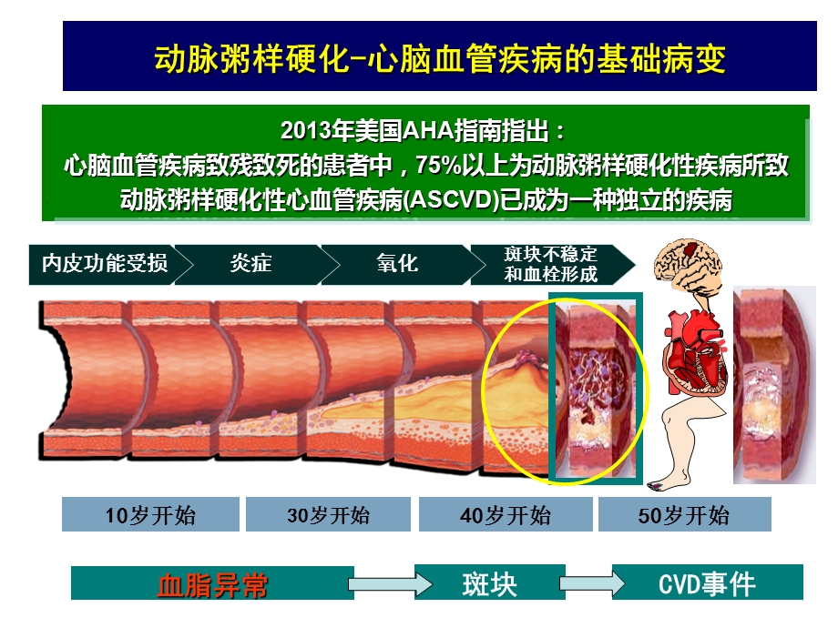 脂异常的危险分层与治疗.ppt_第3页