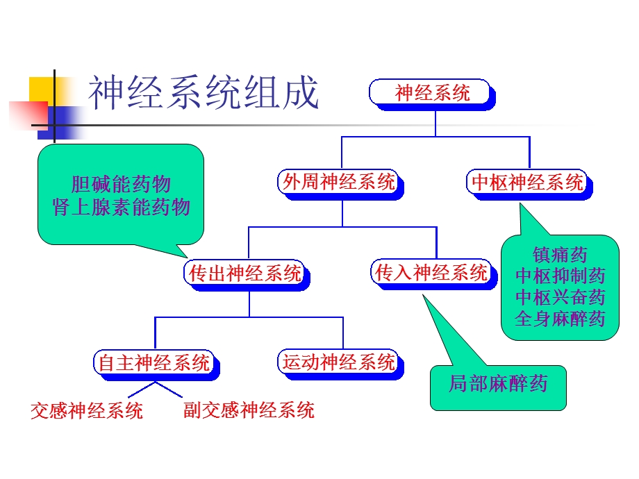 肾上腺素能受体作用药.ppt_第2页