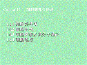 细胞的社会联系.ppt