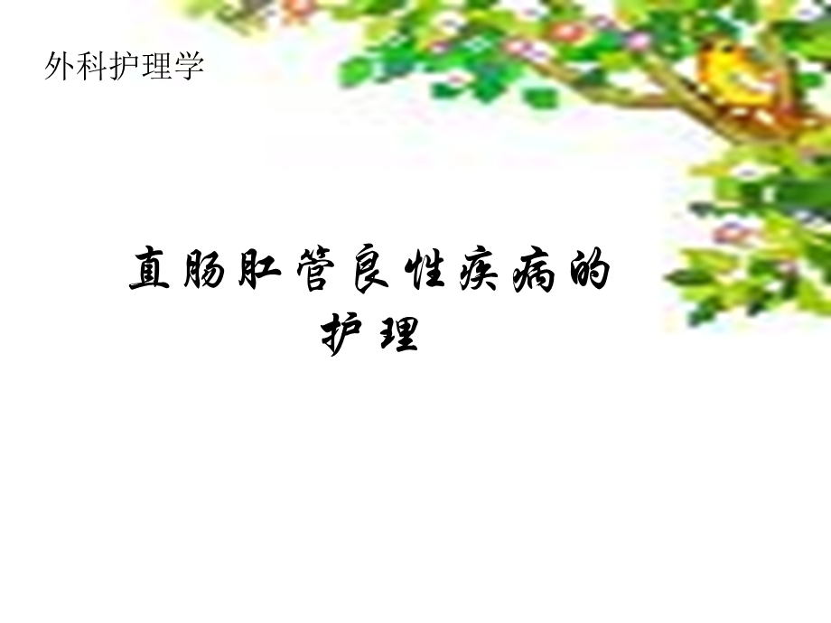 直肠肛管良性疾病的护理.ppt_第1页