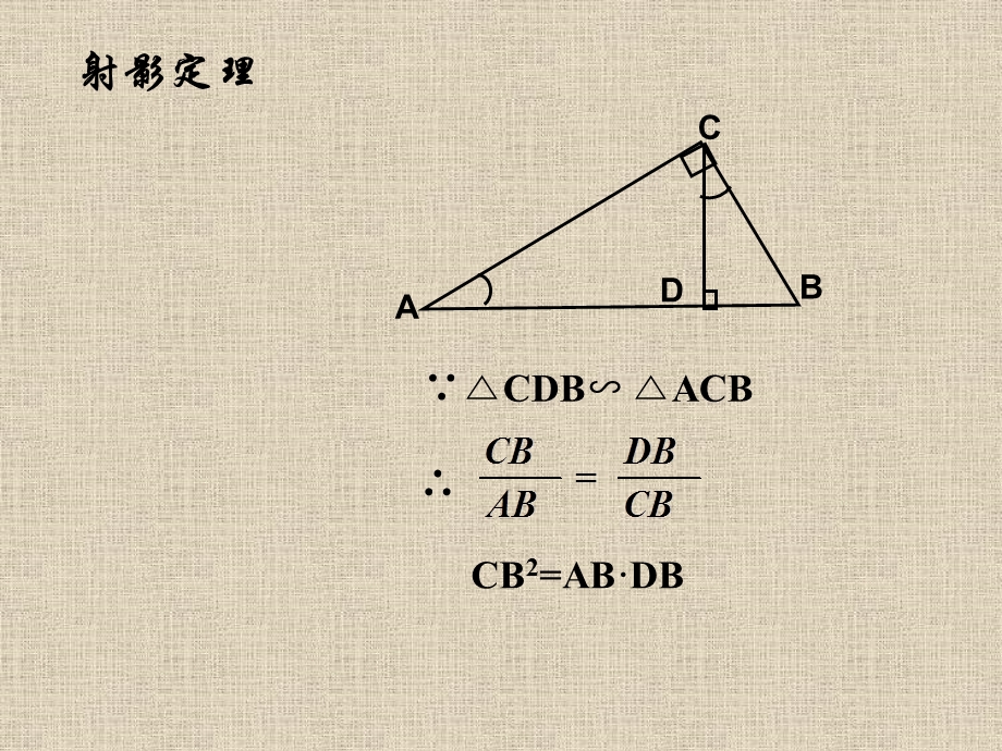 直角三角形相似及相似性质.ppt_第1页