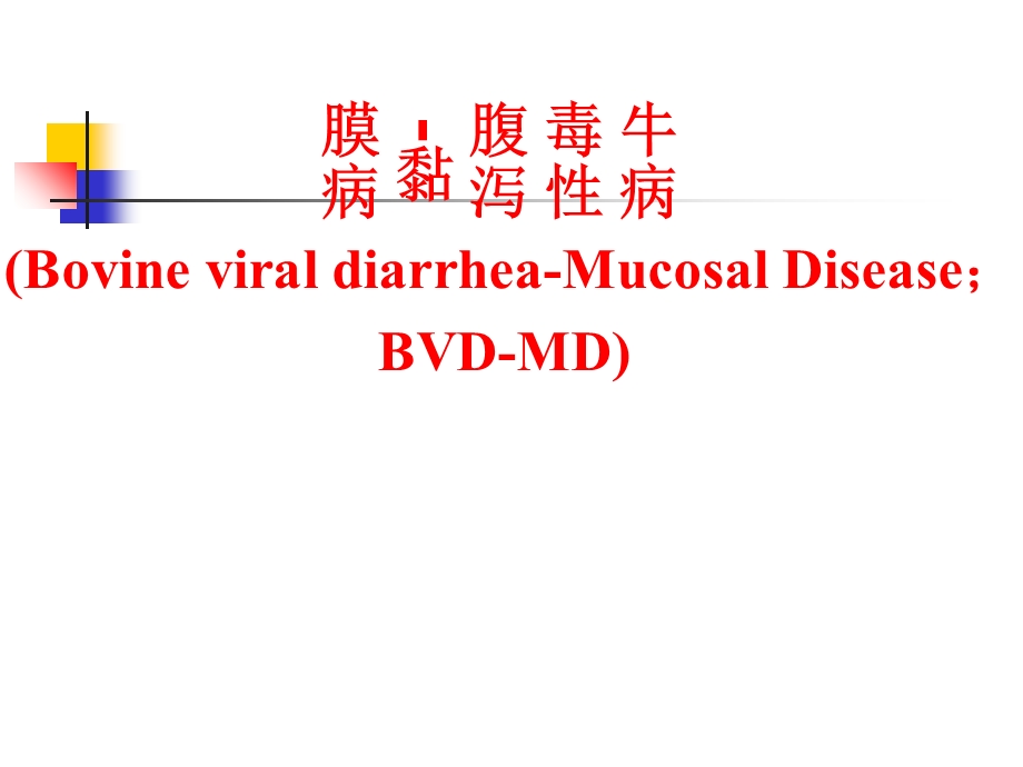 牛病毒性腹泻粘膜病.ppt_第1页