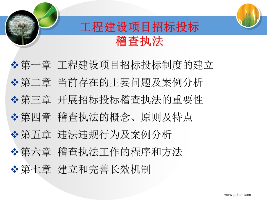 招标投标稽查执法丁树臣.ppt_第2页