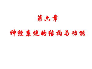 神经系统结构与功能.ppt