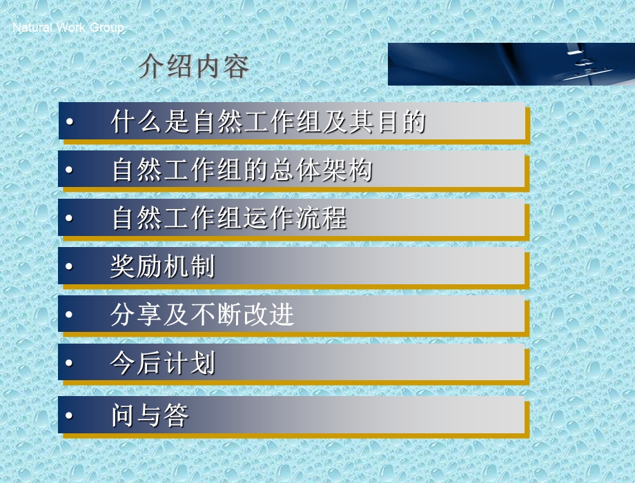 自然工作组如何不断提高小组工作.ppt_第2页