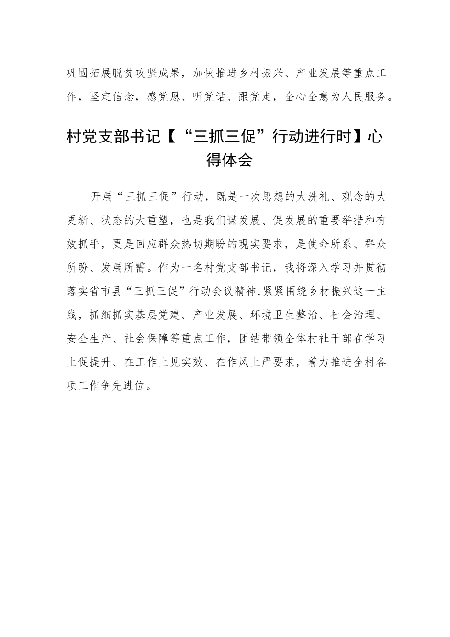 村党支部书记学习【“三抓三促”行动进行时】心得体会合篇【三篇】.docx_第2页