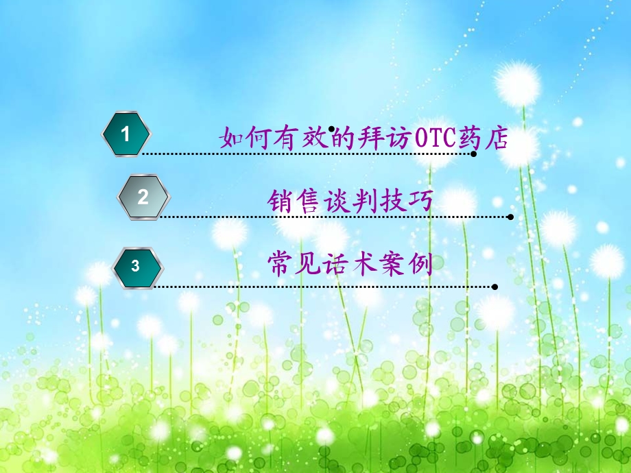 药店开发话术.ppt_第2页