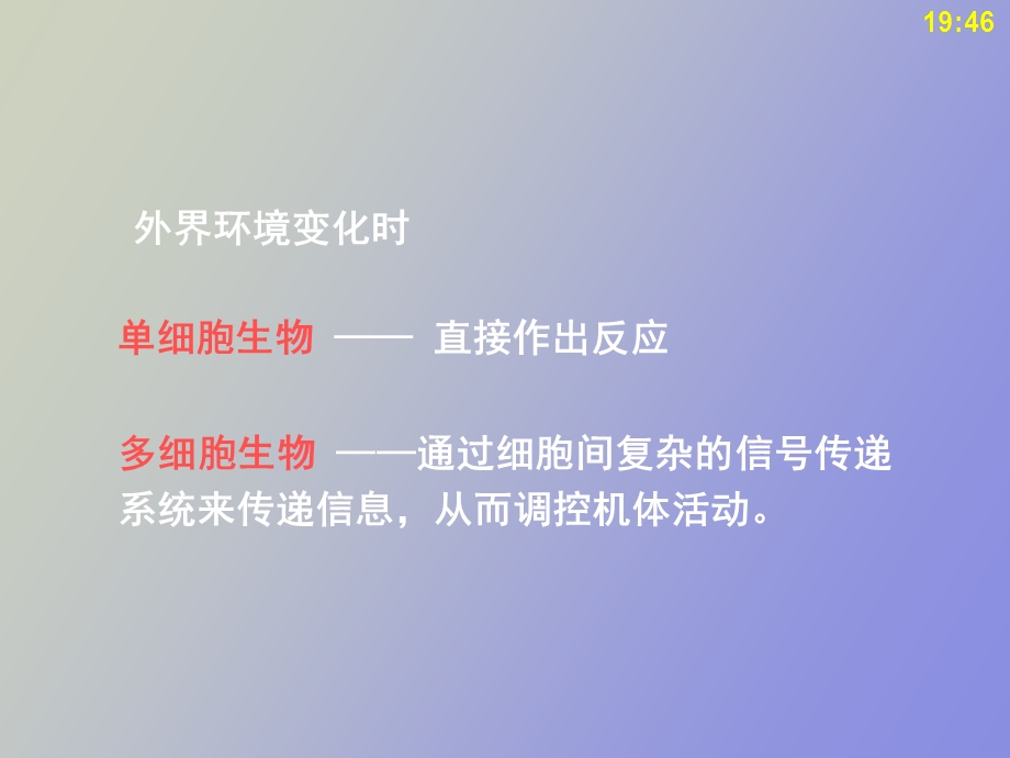 细胞间信息传递.ppt_第2页