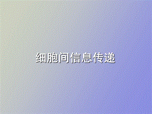 细胞间信息传递.ppt