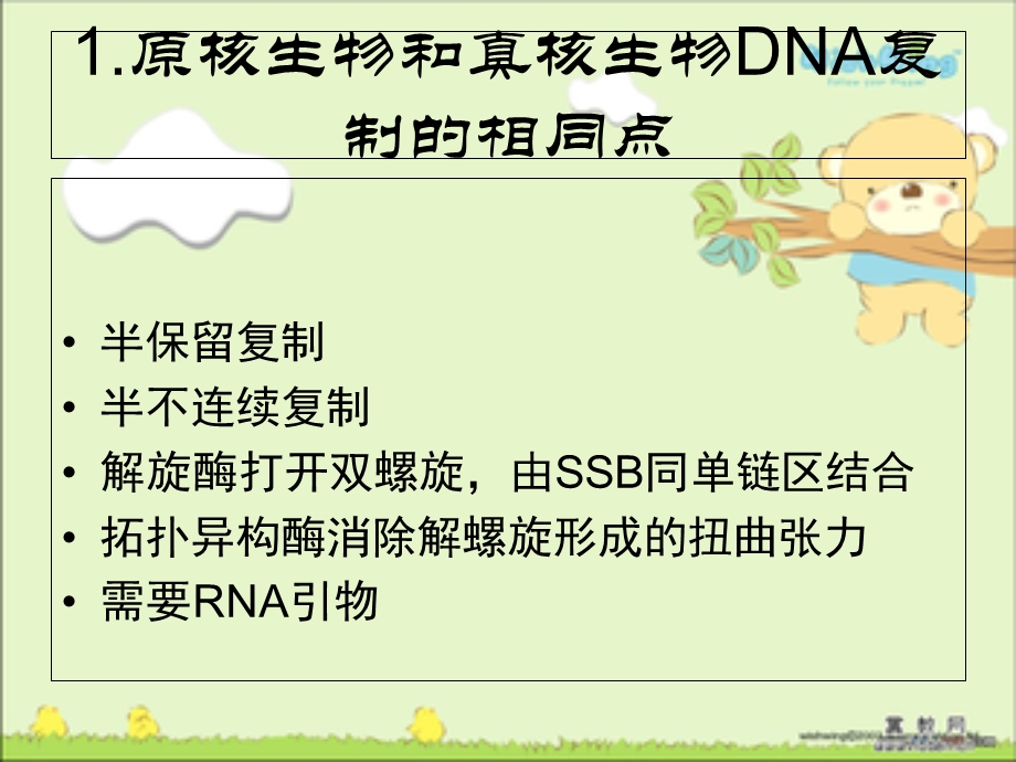 真核生物DNA复制的特点.ppt_第3页