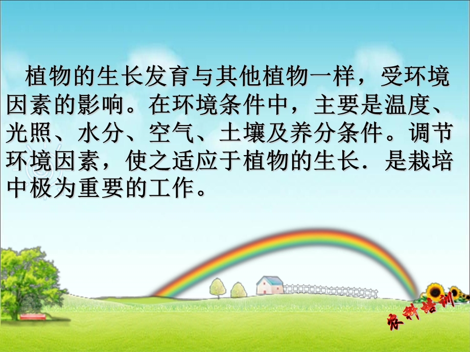 环境对植物的影响.ppt_第2页