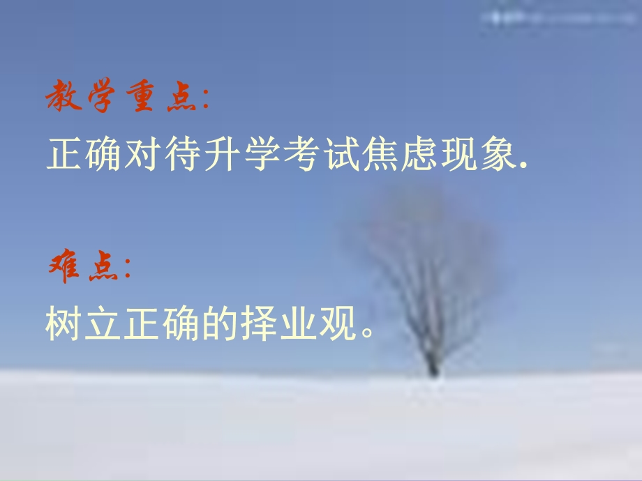 直面升学与择业.ppt_第3页