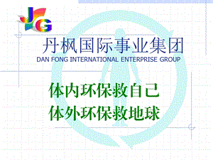 丹枫国际事业集团DANFONGINTERNATIONAL.ppt