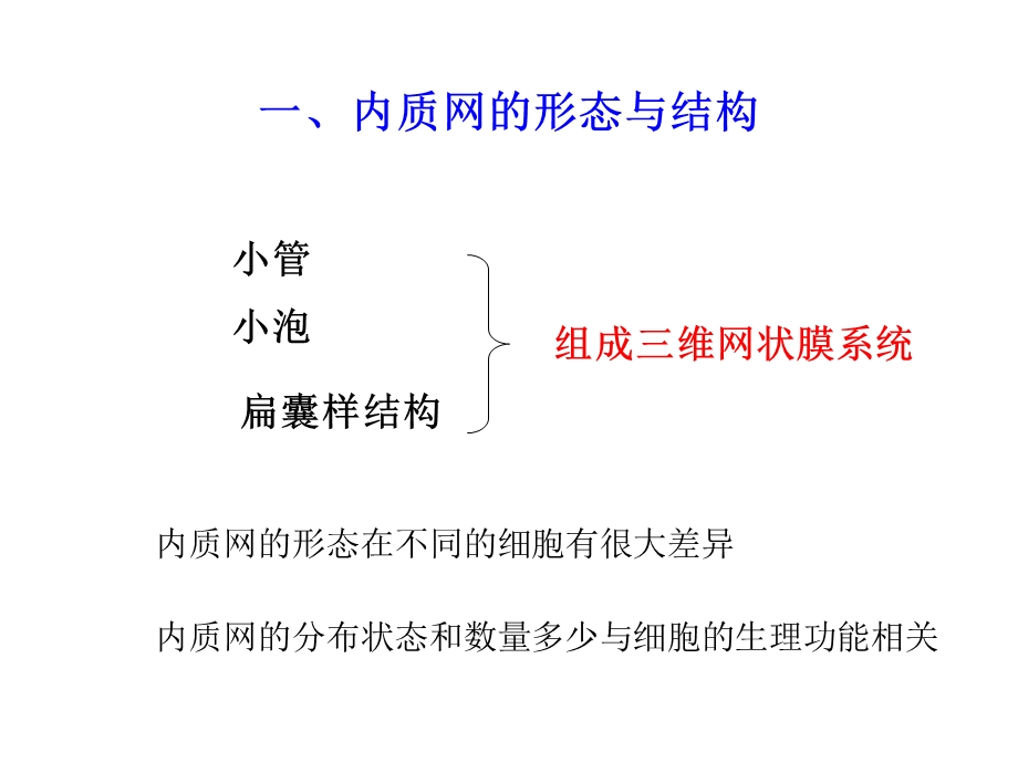 细胞的内膜系统B-内质网.ppt_第3页