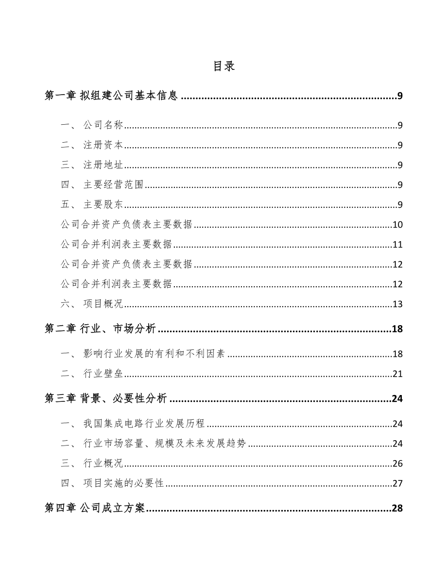 商丘关于成立芯片公司可行性研究报告.docx_第2页