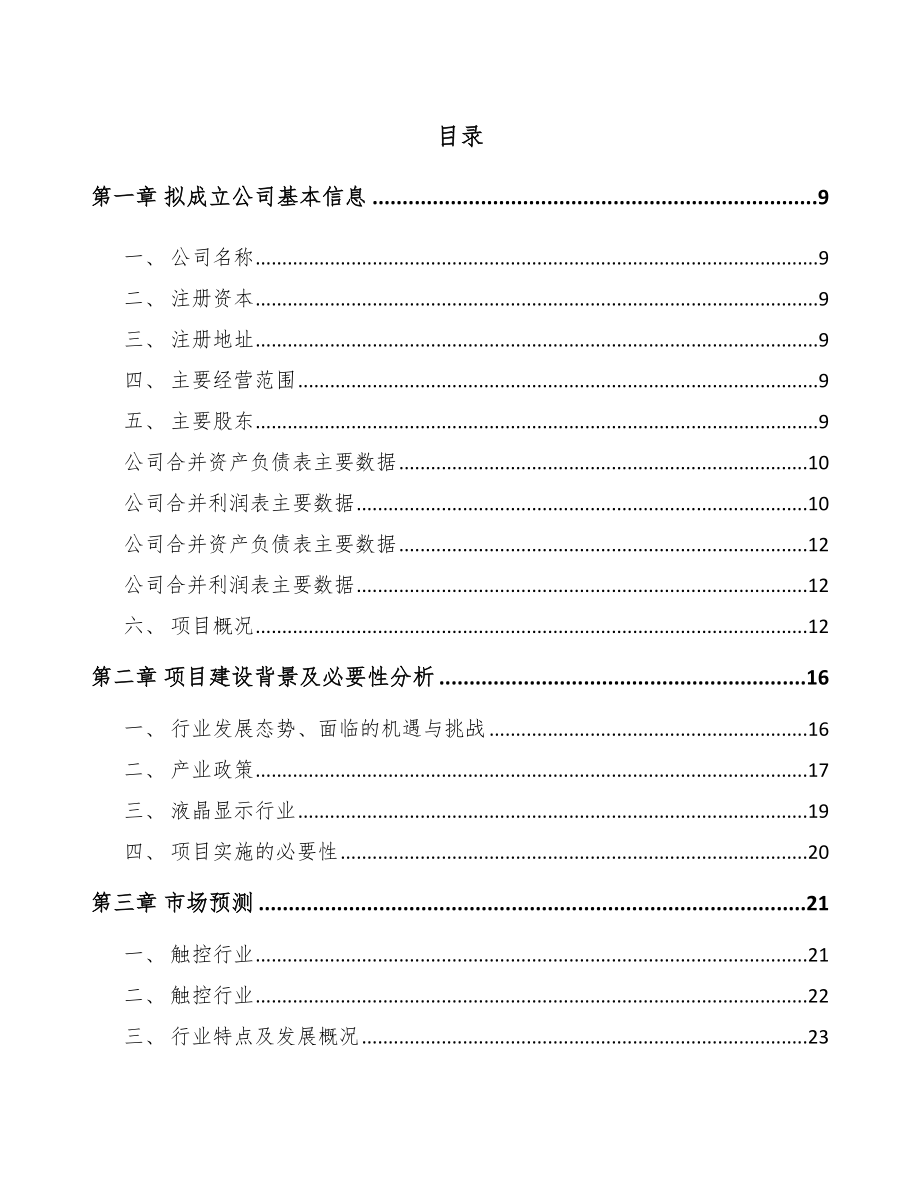 唐山关于成立显示器公司可行性研究报告.docx_第2页