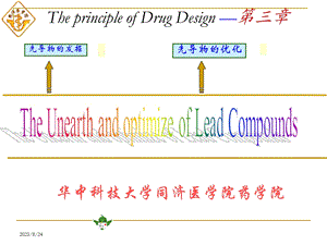 药物设计学-先导物医学.ppt