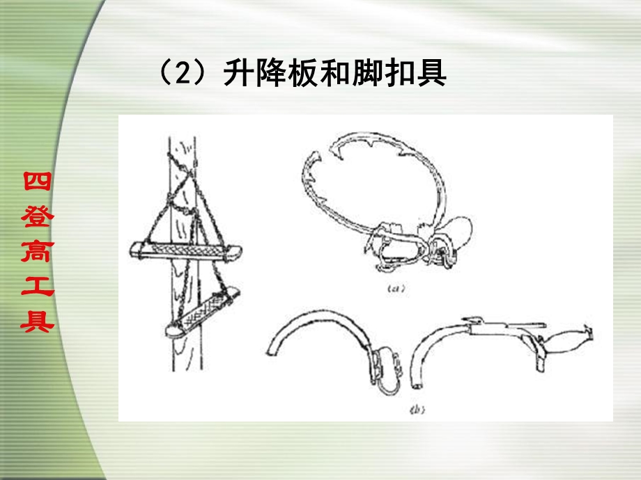 电气安全技术电工登高作业用品.ppt_第3页