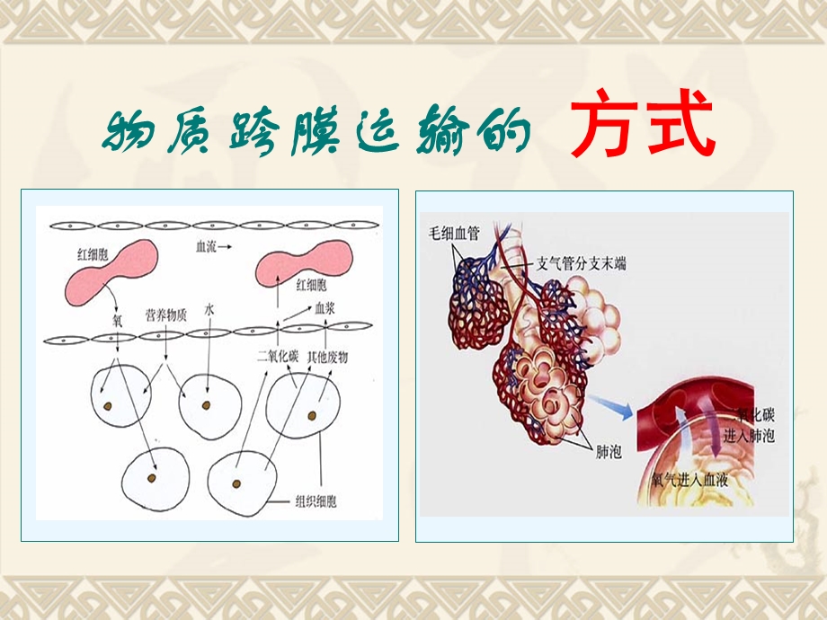 物质跨膜运输的方式.讲ppt.ppt_第1页