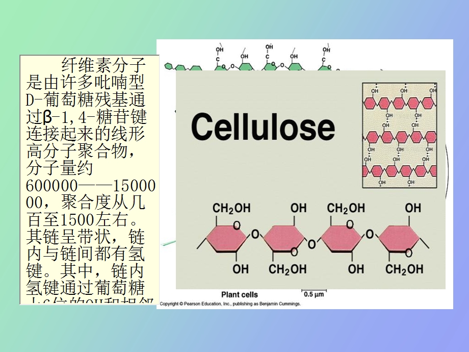 综合讲解纤维素酶.ppt_第3页