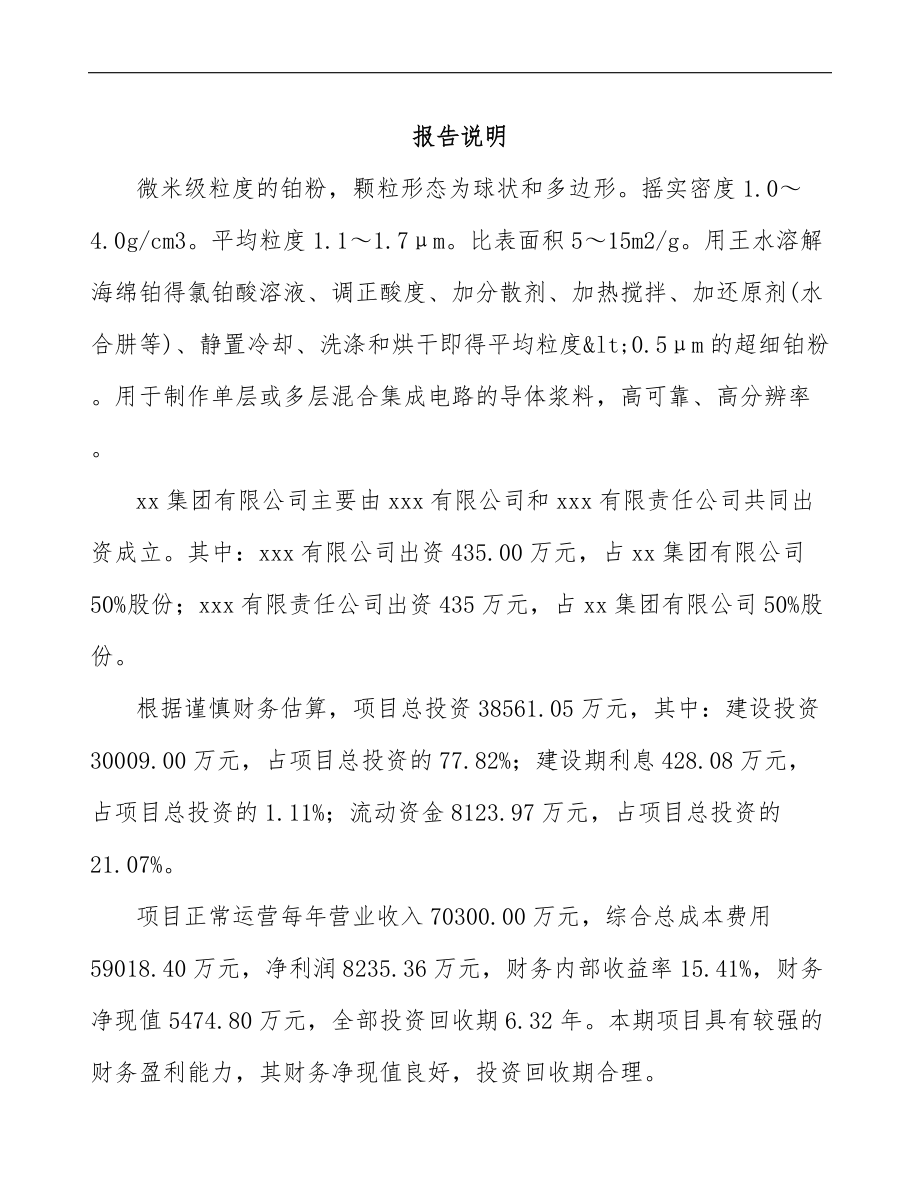 哈尔滨关于成立超细铂粉公司可行性研究报告模板范本.docx_第2页