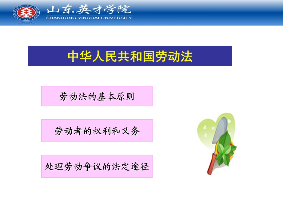 职业活动中法律的基本要求.ppt_第2页