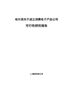 哈尔滨关于成立消费电子产品公司可行性研究报告.docx