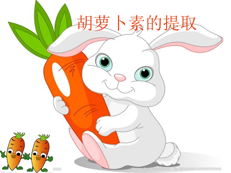 胡萝卜素的提取.ppt_第1页