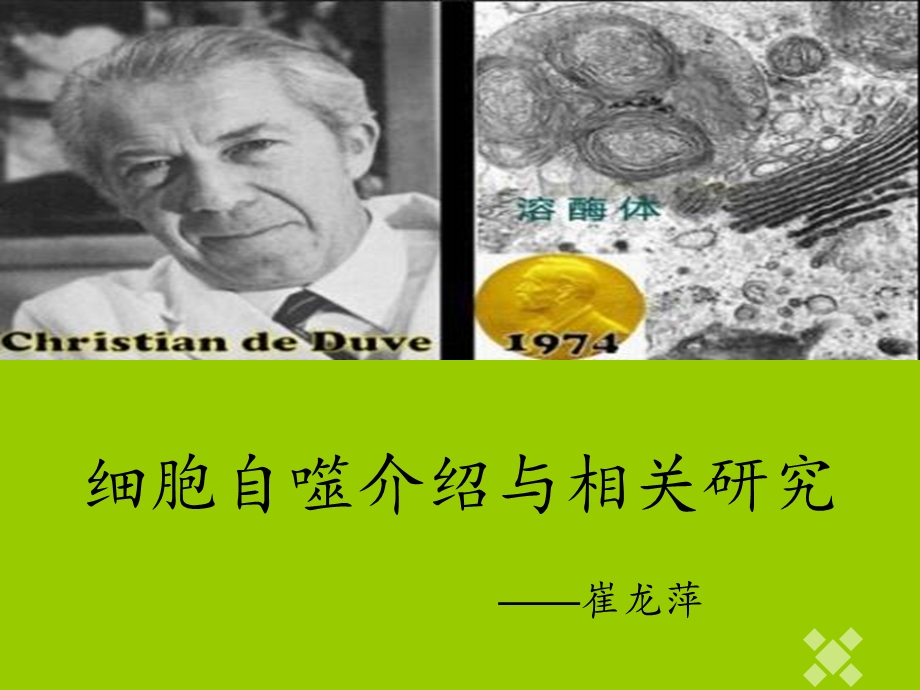 细胞自噬介绍与相关研究.ppt_第1页